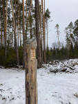 d9531290-793f-4599-9159-ea1b3bfae49e